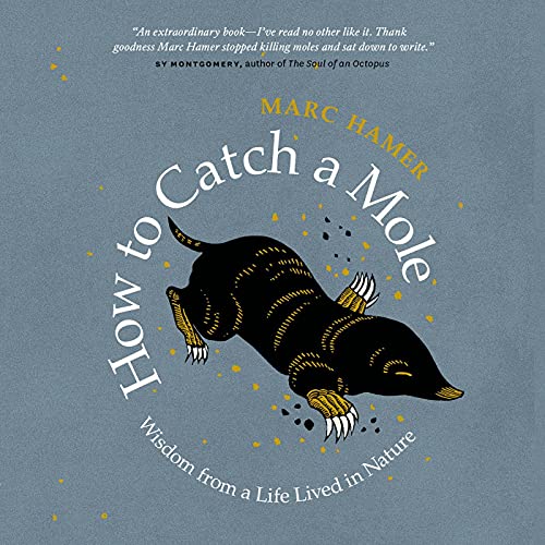 Cover of How to Catch a Mole