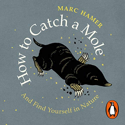 Cover of How to Catch a Mole