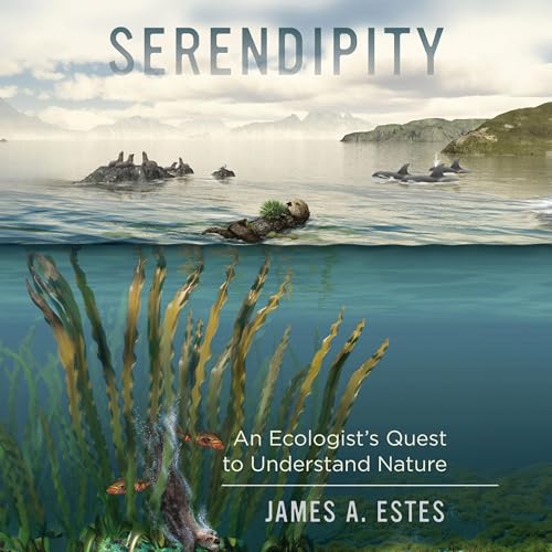Cover of Serendipity