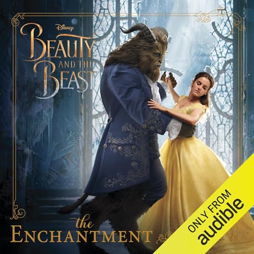 Cover of The Enchantment