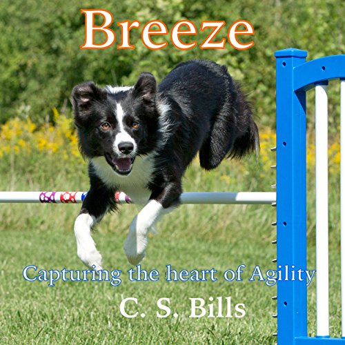 Cover of Breeze
