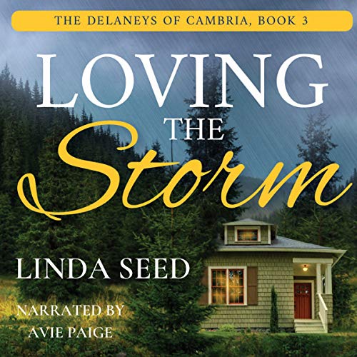 Cover of Loving the Storm