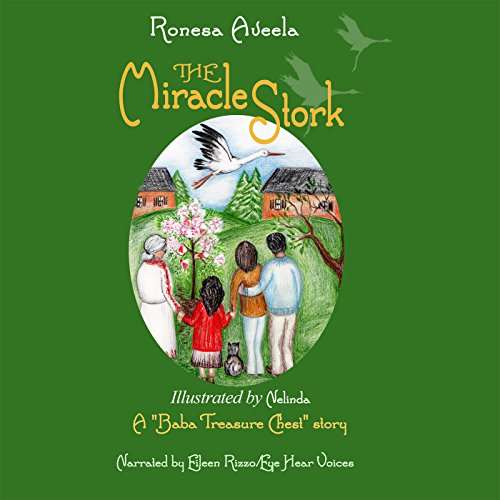 Cover of The Miracle Stork