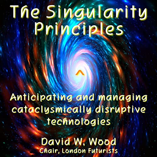 Cover of The Singularity Principles