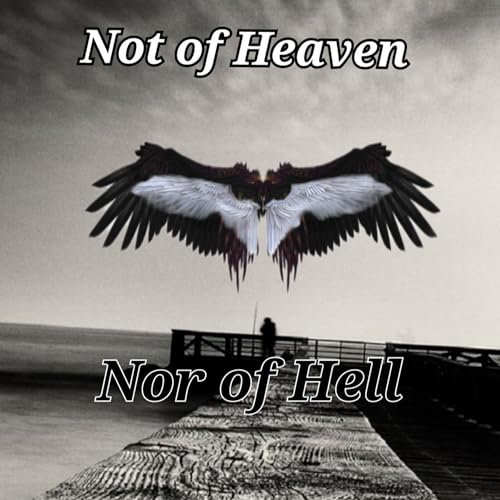 Cover of Not of Heaven Nor of Hell