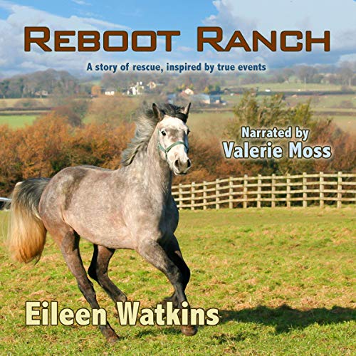 Cover of Reboot Ranch