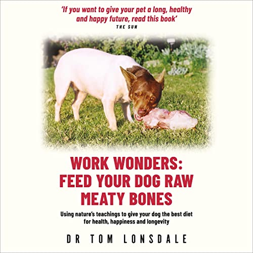 Cover of Work Wonders