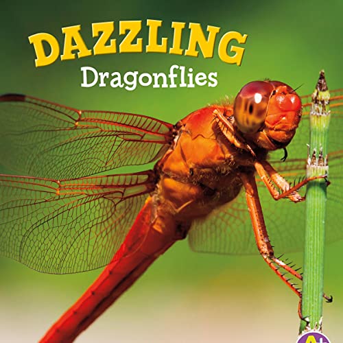 Cover of Dazzling Dragonflies