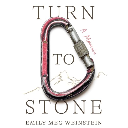 Cover of Turn to Stone
