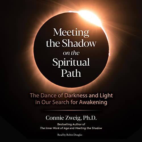 Cover of Meeting the Shadow on the Spiritual Path