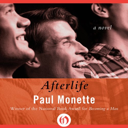 Cover of Afterlife
