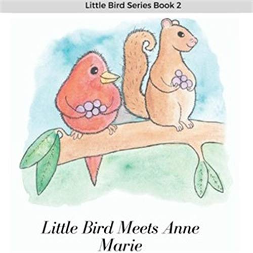 Cover of Little Bird Meets Anne Marie