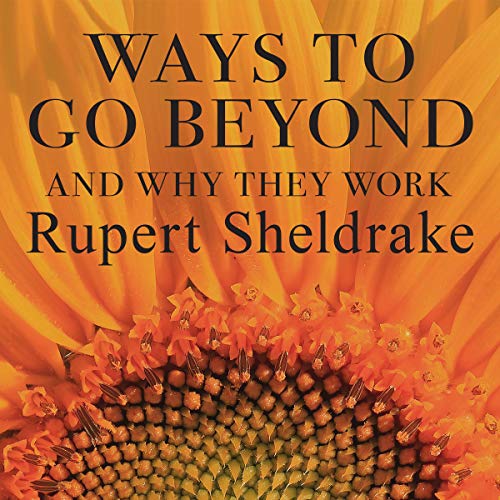 Cover of Ways to Go Beyond and Why They Work