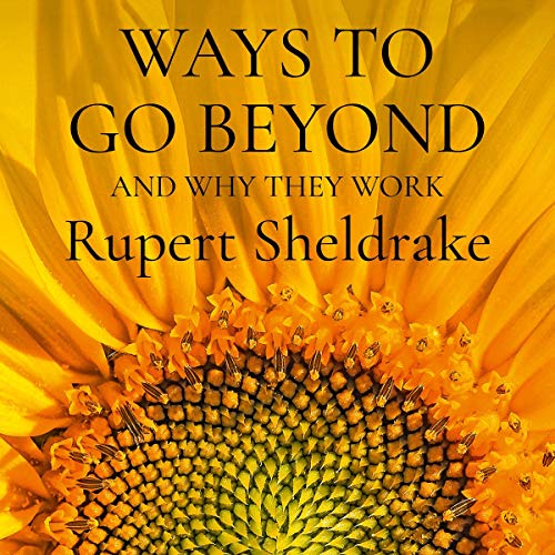 Cover of Ways to Go Beyond and Why They Work