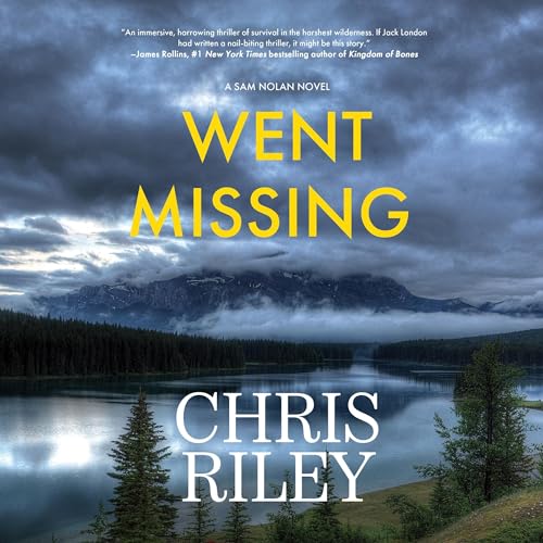 Cover of Went Missing