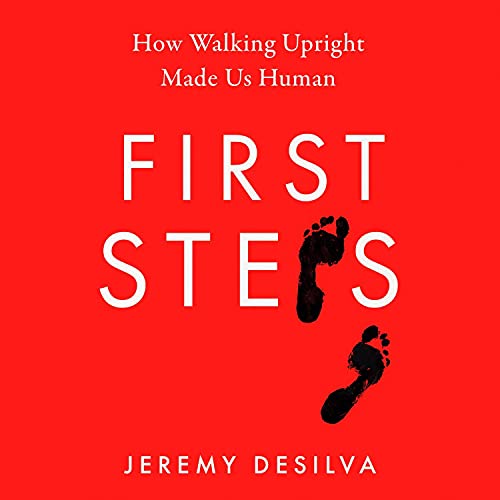 Cover of First Steps
