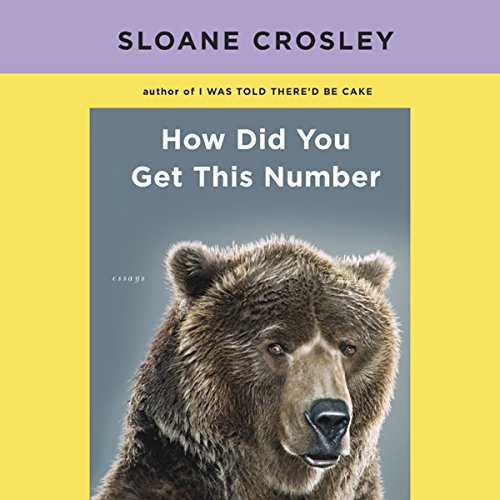 Cover of How Did You Get This Number