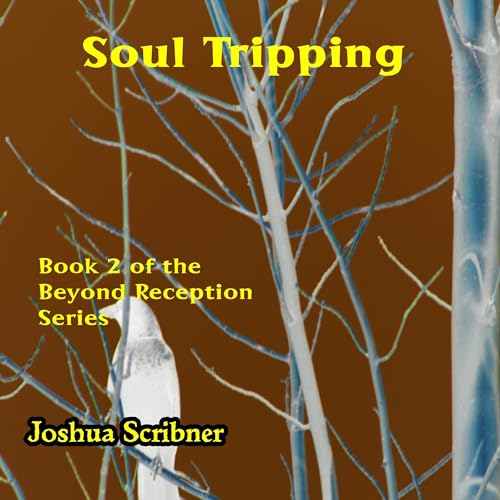 Cover of Soul Tripping