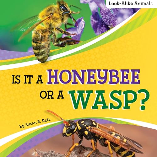 Cover of Is It a Honeybee or a Wasp?
