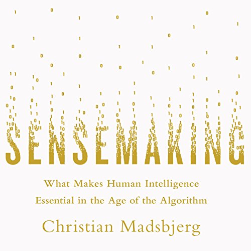 Cover of Sensemaking