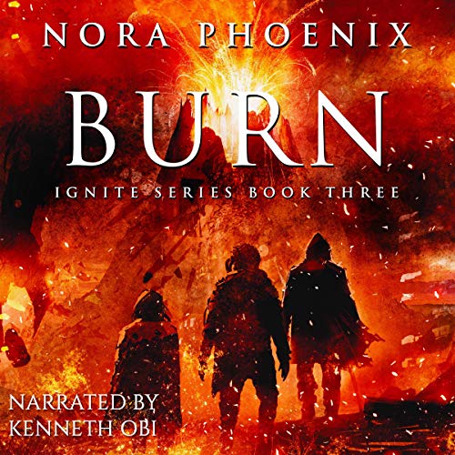 Cover of Burn