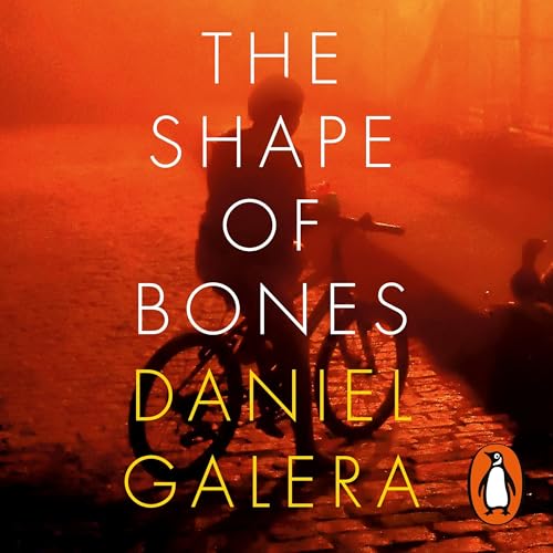 Cover of The Shape of Bones