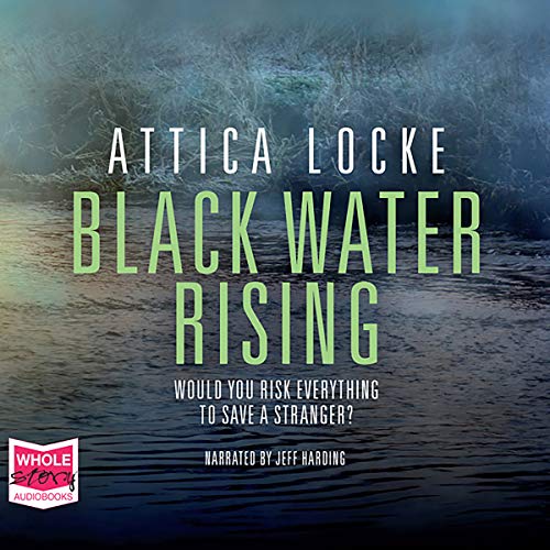 Cover of Black Water Rising