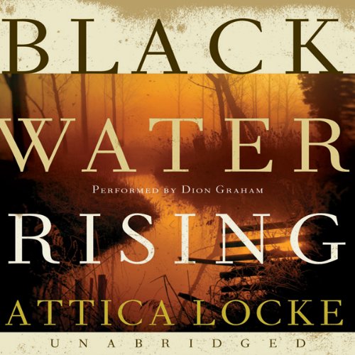 Cover of Black Water Rising