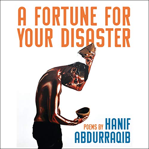 Cover of A Fortune for Your Disaster