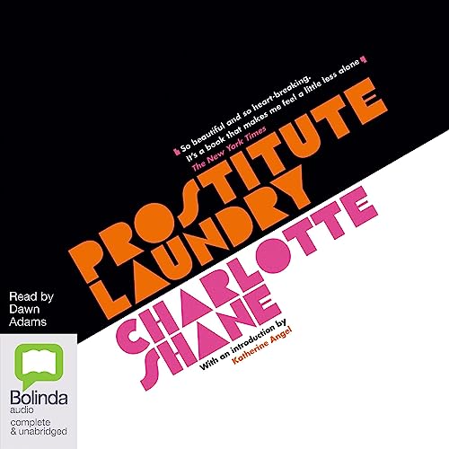 Cover of Prostitute Laundry