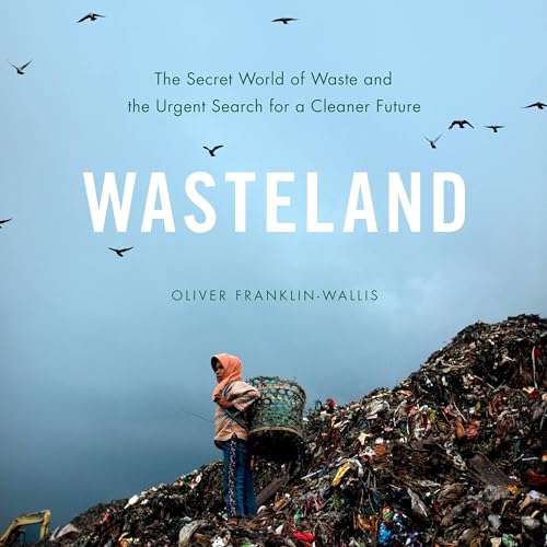 Cover of Wasteland