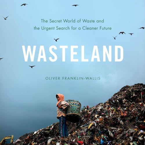 Cover of Wasteland