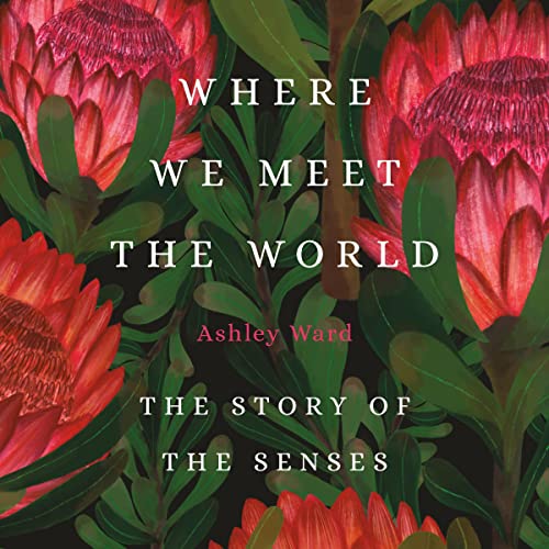 Cover of Where We Meet the World