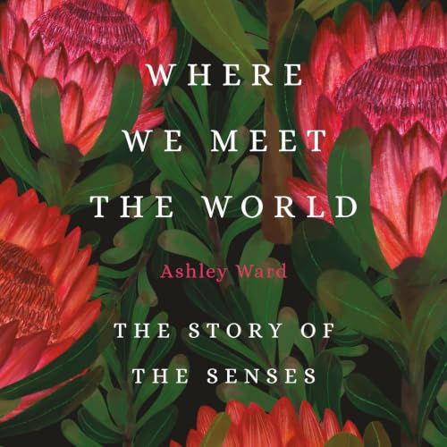 Cover of Where We Meet the World