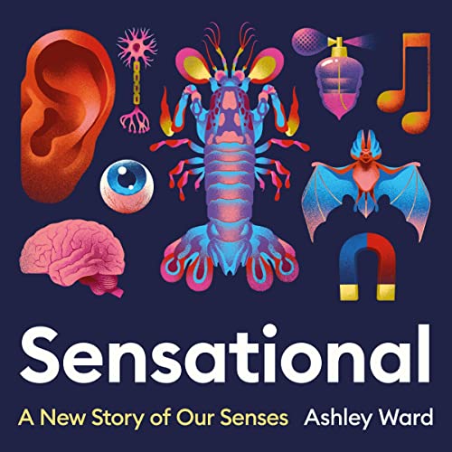 Cover of Sensational