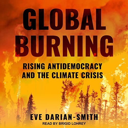 Cover of Global Burning
