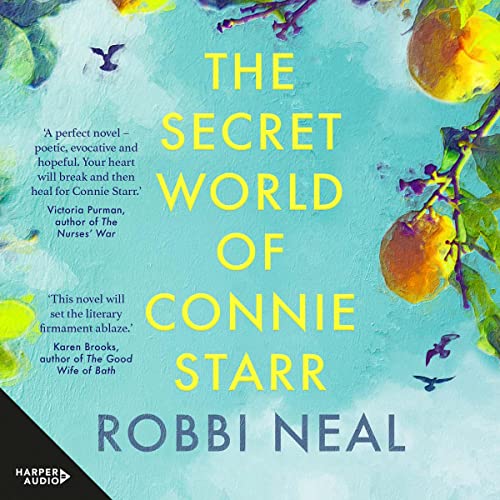 Cover of The Secret World of Connie Starr