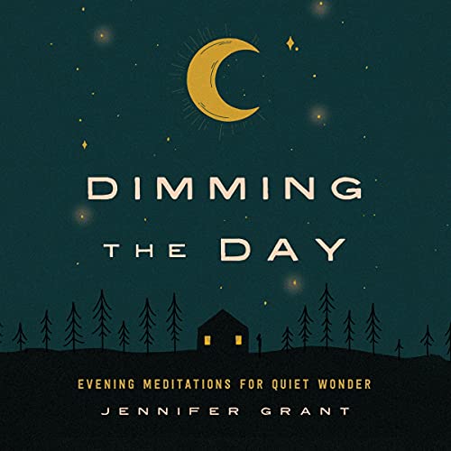 Cover of Dimming the Day