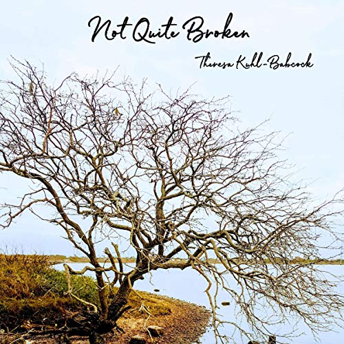 Cover of Not Quite Broken