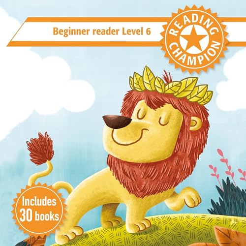 Cover of Reading Champion: Orange Reading Band 6