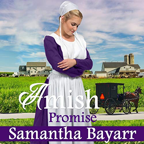 Cover of Amish Romance: The Promise