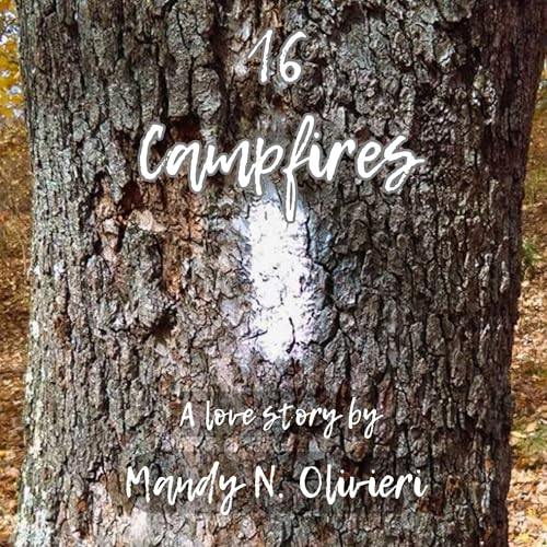 Cover of 16 Campfires