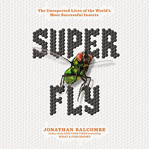 Cover of Super Fly