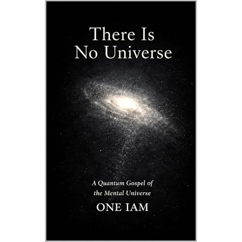 Cover of There Is No Universe