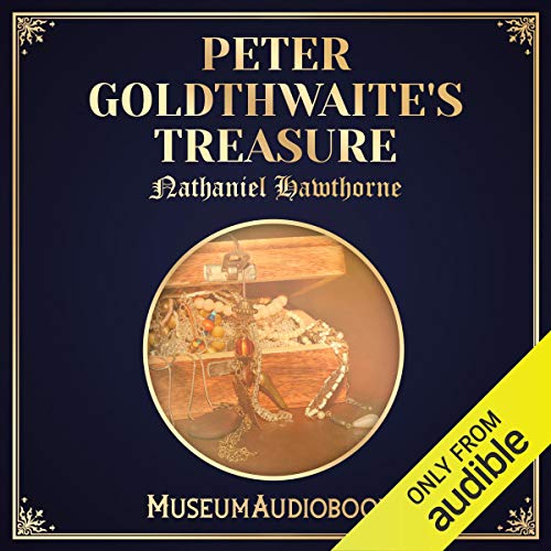Cover of Peter Goldthwaite's Treasure