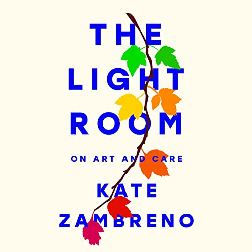 Cover of The Light Room