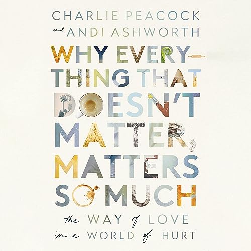 Cover of Why Everything That Doesn't Matter, Matters So Much