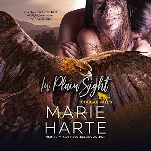 Cover of In Plain Sight