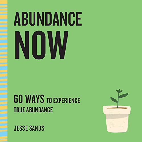Cover of Abundance Now