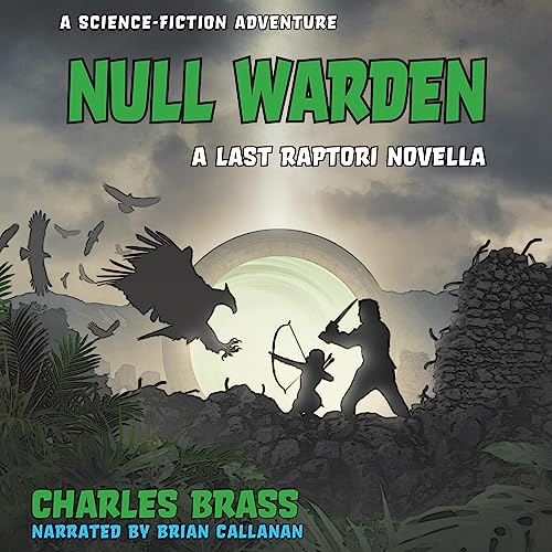 Cover of Null Warden